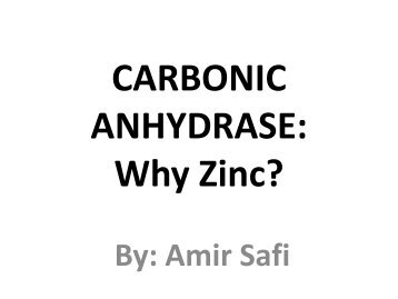 CARBONIC ANHYDRASE: why Zinc?