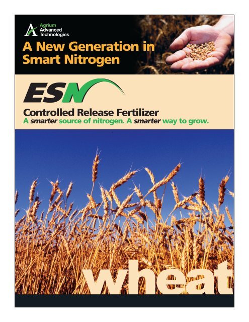 ESN Wheat Fact Sheet 0408.qxp - Agrium Wholesale