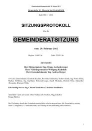 Gemeinderatssitzungsprotokoll 2012.02.29 - St. Marein bei Knittelfeld