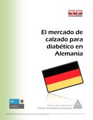 El mercado de calzado para pie diabético en Alemania ÍNDICE