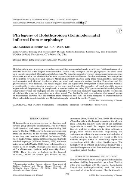Phylogeny of Holothuroidea (Echinodermata) inferred from ...