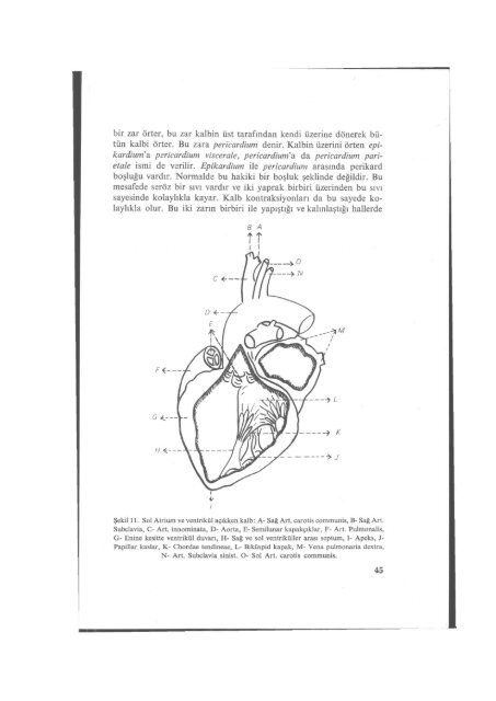 PDF Dosyası - Ankara Üniversitesi Kitaplar Veritabanı