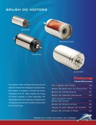 BRUSH DC motoRS