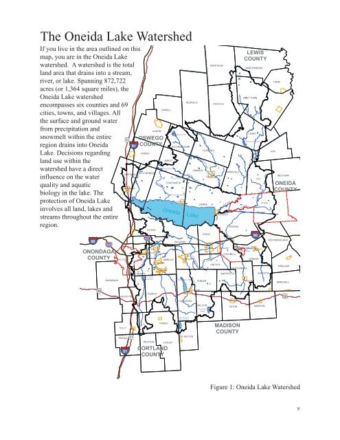 A Management Strategy for Oneida Lake and its ... - CNY RPDB Home