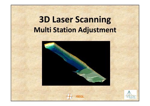 3D Laser Scanning Multi Station Adjustment - Wilson Survey Group