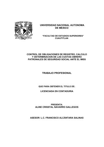 universidad nacional autonoma de mexico trabajo profesional