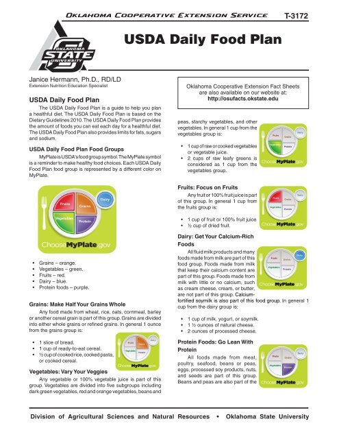 Daily Food Chart For Adults