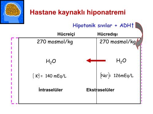 IDAME SIVI ELEKTROLIT TEDAVISI.pdf