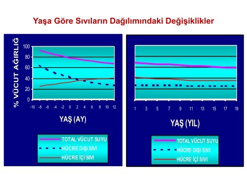 IDAME SIVI ELEKTROLIT TEDAVISI.pdf