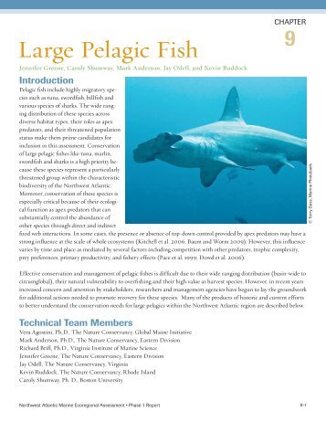 Large Pelagic Fish - Conservation Gateway