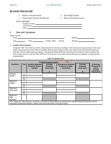 network design 4 essay They include academic essays, reports, case studies as well as reflective writing games, graphics and multimedia it management and leadership networking and security software the sample assignments are ideal as a guide for most coursework students and include material design, architecture & building. network design 4 essay They include academic essays, reports, case studies as well as reflective writing games, graphics and multimedia it management and leadership networking and security software the sample assignments are ideal as a guide for most coursework students and include material design, architecture & building.
