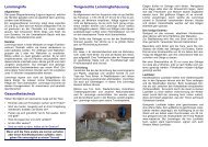 Lemminge tiergerecht halten - Nager Info