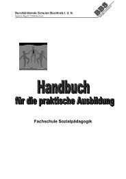 Handbuch Fachschule SozialpÃ¤dagogik 2012 - BBS Buchholz