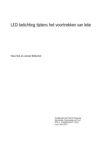 Ledbelichting lelie - Energiek2020