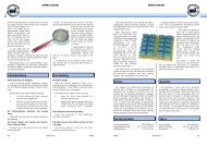 Anleitung Elektrostat - AMW