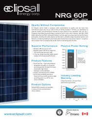 NRG 60 P Series - Eclipsall