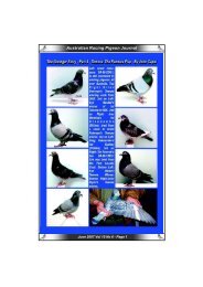 Australian Racing Pigeon Journal - pigeon sales