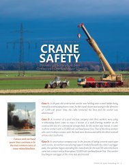 Crane Safety: Preventing Electrocutions from ... - Jerome Spear