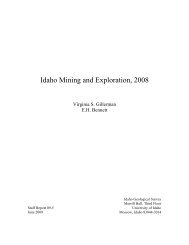 IDAHO MINING AND EXPLORATION, 2008 - Idaho Geological Survey