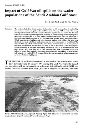 Impact of the Gulf War oil spill on the wader ... - Nwrc.gov.sa