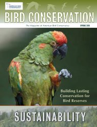 Spring 2010: Building Lasting Conservation for Bird Reserves