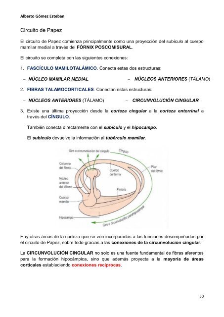 Neurociencia. Diencefalo.pdf - VeoApuntes.com