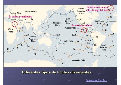 TectÃ³nica de Placas: funcionamiento