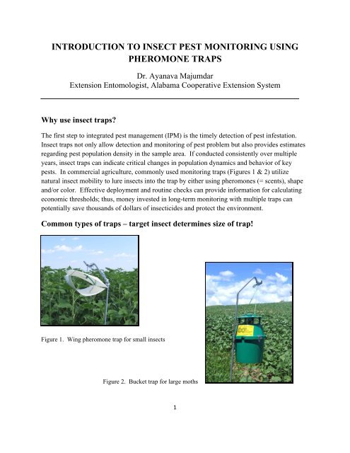 https://img.yumpu.com/32436594/1/500x640/introduction-to-insect-pest-monitoring-using-pheromone-traps.jpg