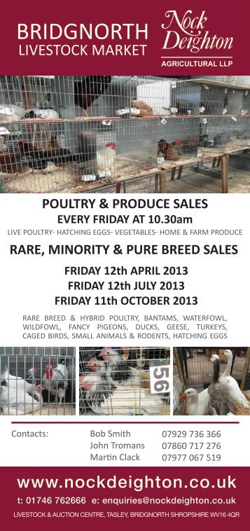 Rare Minority and Pure Breed Poultry - Auction Mart