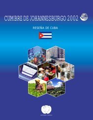 CUMBRE DE JOHANNESBURGO 2002 - ONU