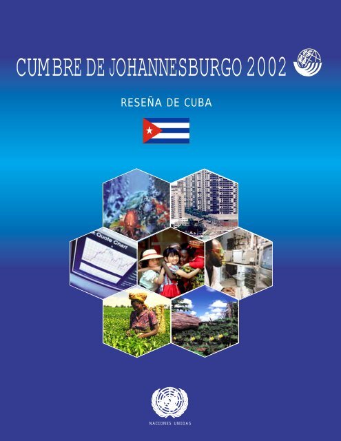 CUMBRE DE JOHANNESBURGO 2002 - ONU