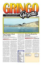 July 23th, 2008 - the Gringo Gazette