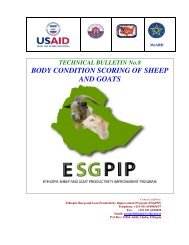 BODY CONDITION SCORING OF SHEEP AND GOATS - esgpip