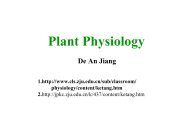 Plant Physiology