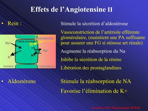 SystÃ¨me RÃ©nine Angiotensine-AldostÃ©rone