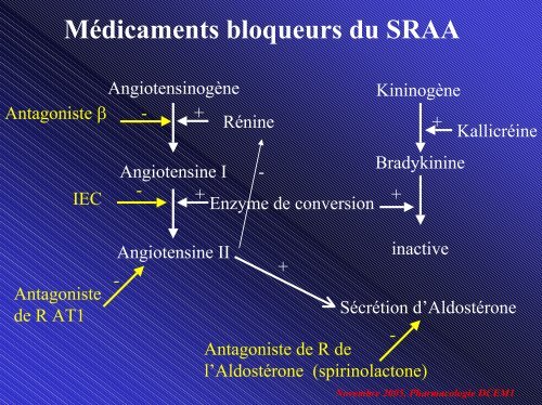 SystÃ¨me RÃ©nine Angiotensine-AldostÃ©rone