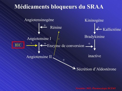 SystÃ¨me RÃ©nine Angiotensine-AldostÃ©rone