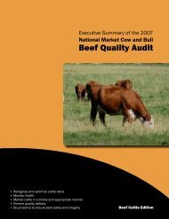 2007 National Market Cow and Bull Beef Quality Audit