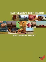 2007 Beef Board Annual Report - Cattlemen's Beef Promotion and ...