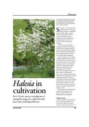 Halesia - Rick Darke