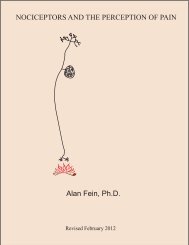 NOCICEPTORS AND THE PERCEPTION OF PAIN Alan Fein, Ph.D.