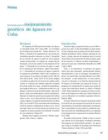 Estrategia para el mejoramiento genÃ©tico de Agaves en Cuba