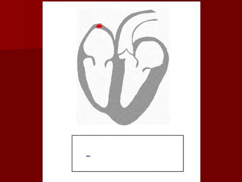 9- Sistema Circulatorio