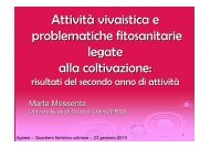 Attività vivaistica e problematiche fitosanitarie legate alla - Piante ...