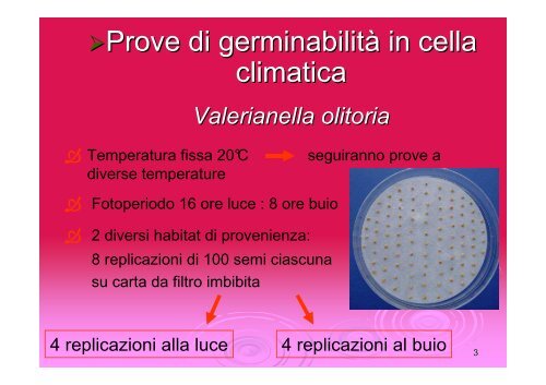 Attività vivaistica e problematiche fitosanitarie legate alla - Piante ...