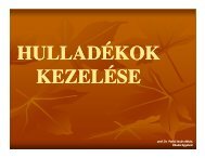 Oázis társkereső mobil letöltés
