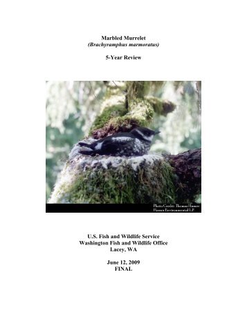 Marbled Murrelet (Brachyramphus marmoratus) 5-Year Review U.S. ...