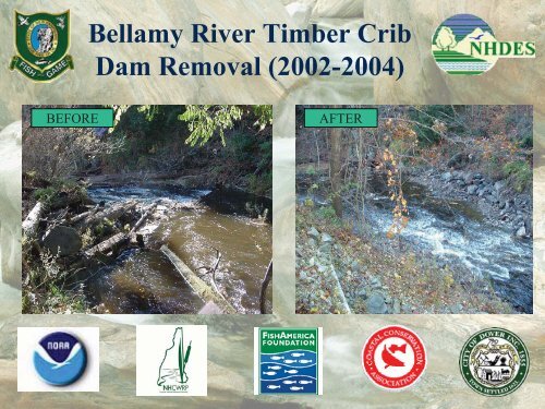 Bellamy River Timber Crib Dam Removal (2002-2004) - VHB.com