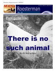 Pure game fowl - Subscribe to Roosterman