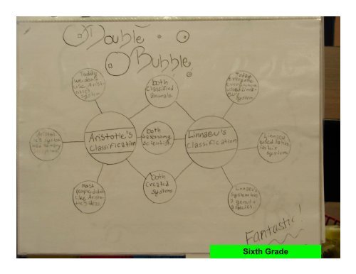 Double-Bubble Map Examples